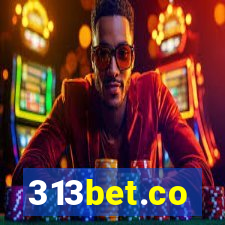 313bet.co