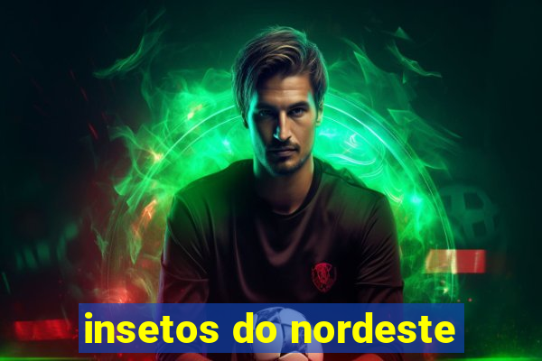 insetos do nordeste