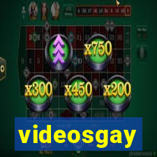 videosgay